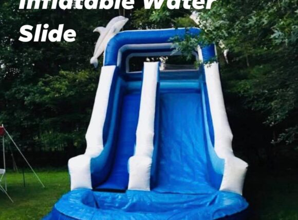 Dolphins Blue Inflatable Water Slide