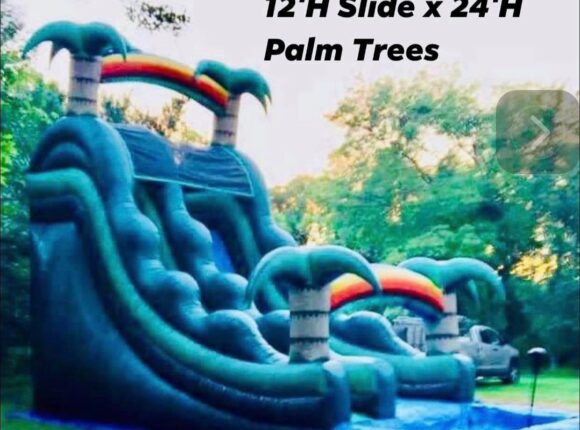 Palm Trees Size 31 L x 13 W x 12 H Slide x 24 H