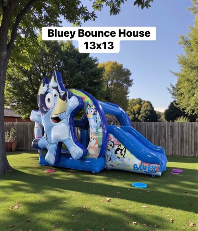 Bluey Bounce House 13 x 13