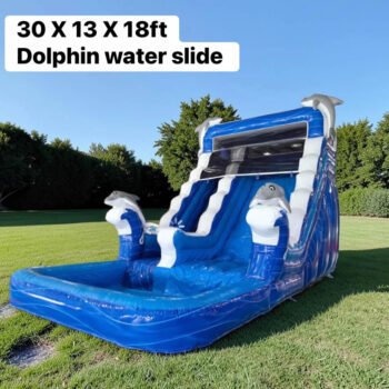Dolphin water Slider 30 x 13 x 18 ft