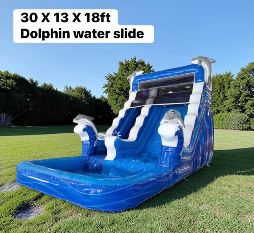 Dolphin water Slider 30 x 13 x 18 ft